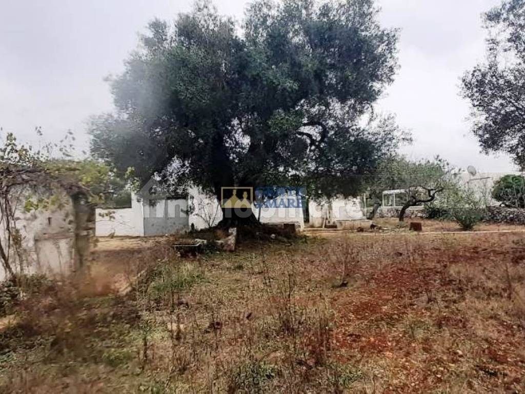 Trulli panoramici