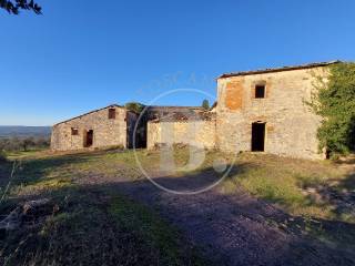 FARMHOUSE COMPLEX - Casole d'Elsa (Si)