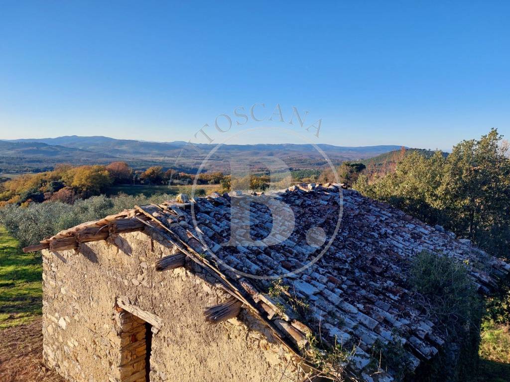 FARMHOUSE COMPLEX - Casole d'Elsa (Si)