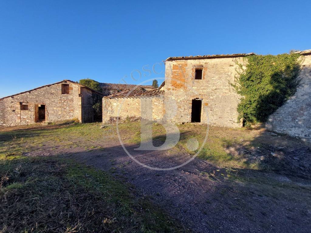 FARMHOUSE COMPLEX - Casole d'Elsa (Si)