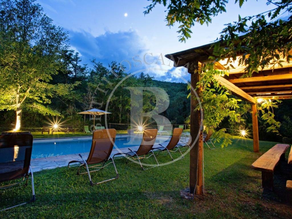 FARMHOUSE WITH DEPENDANCE - Gaiole in Chianti (Si)