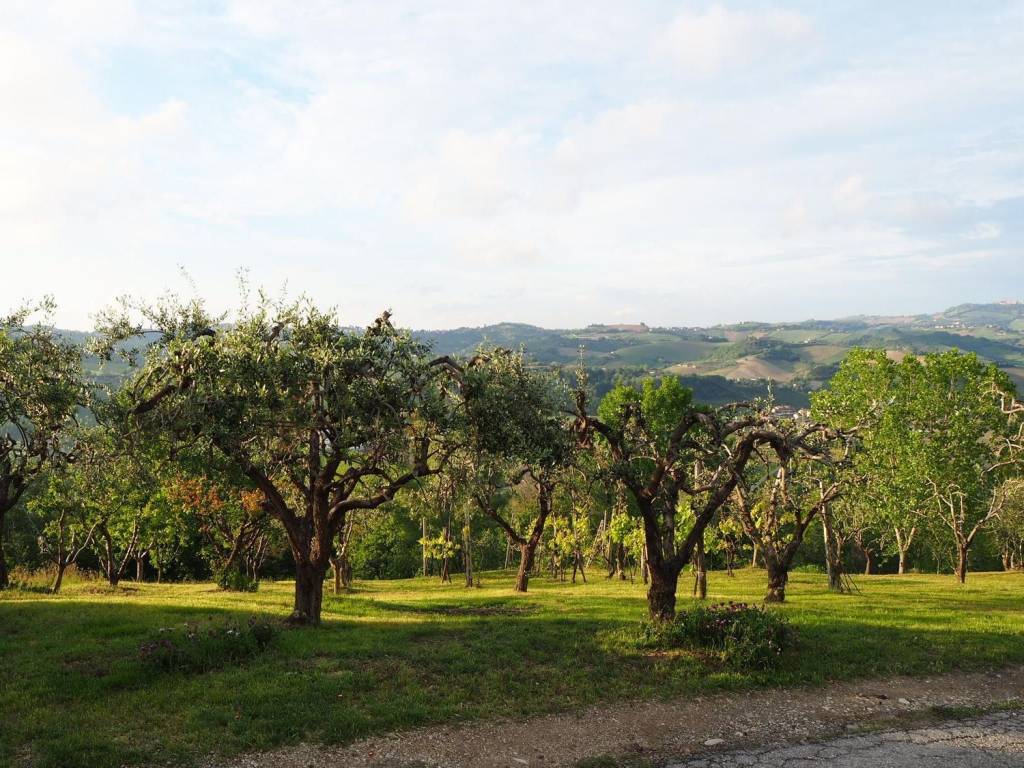 Agriturismo vista mare