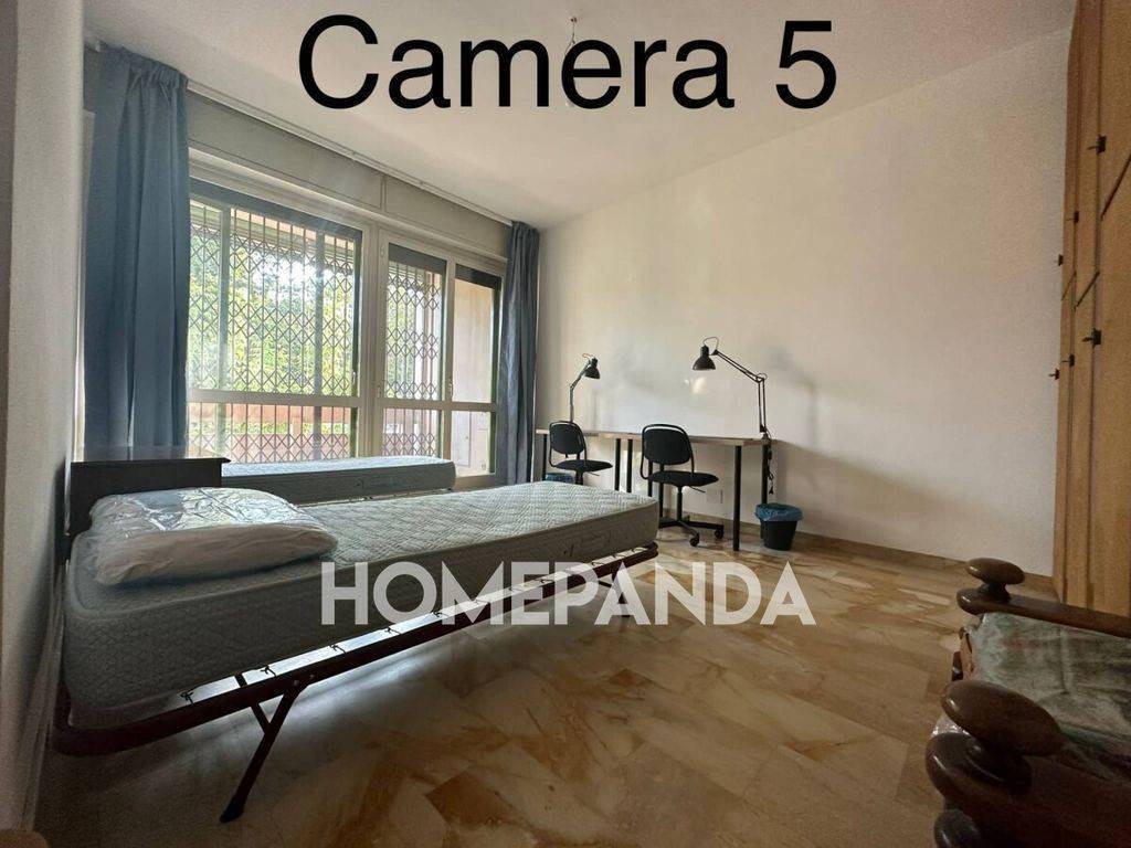 Camera 5