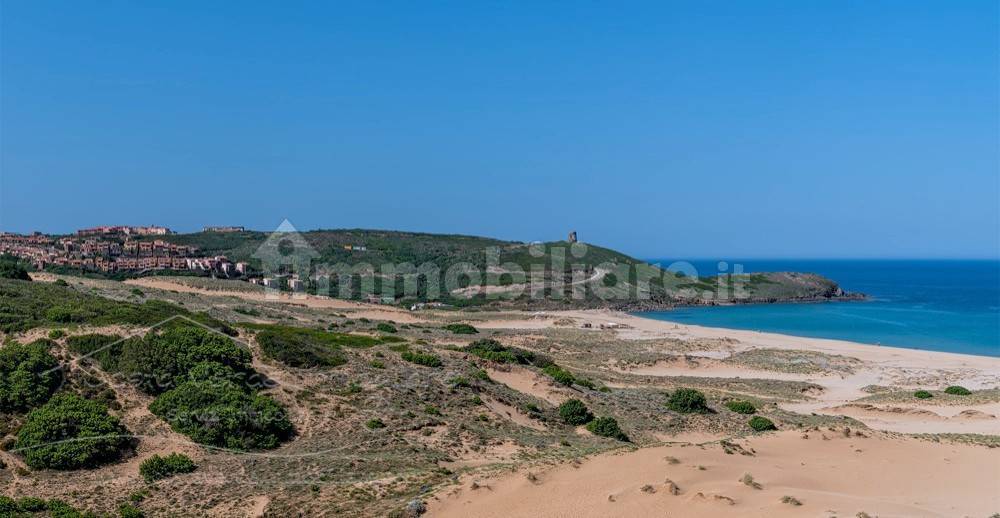 Spiaggia/Dune