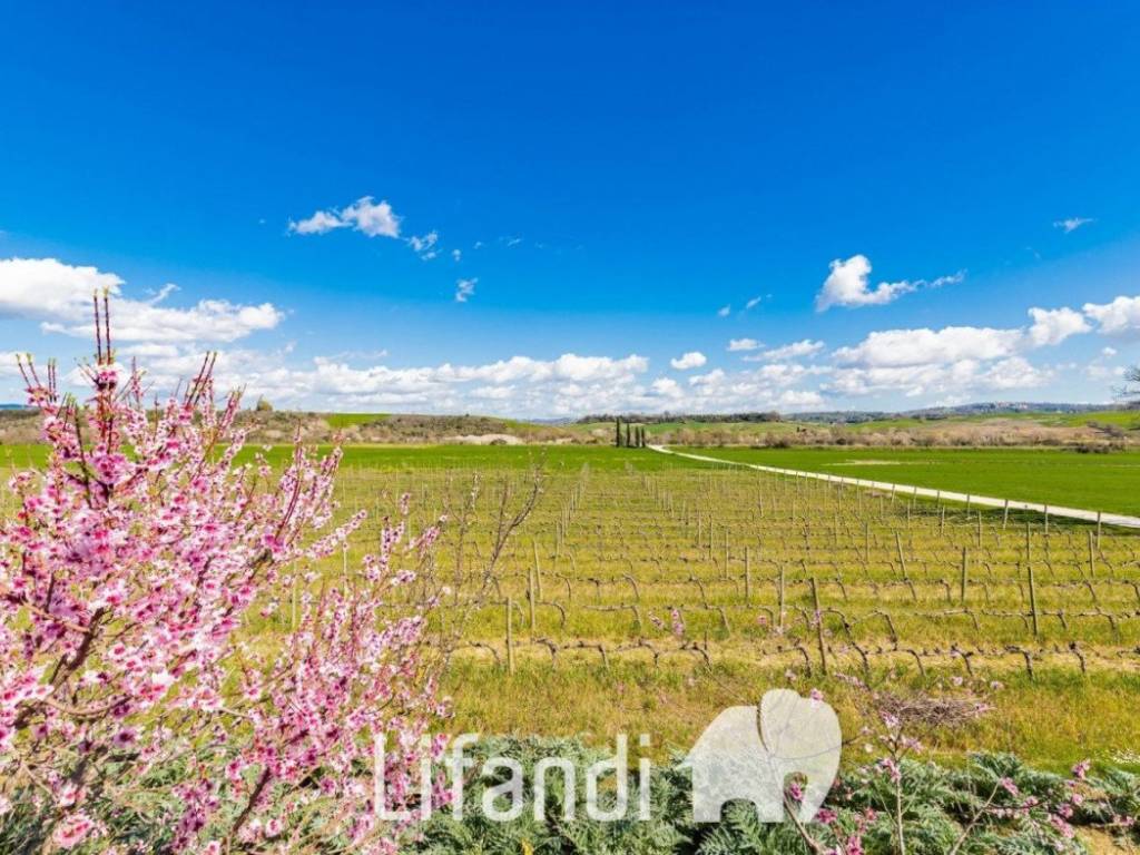 agriturismo scansano toscana 132 1440x885