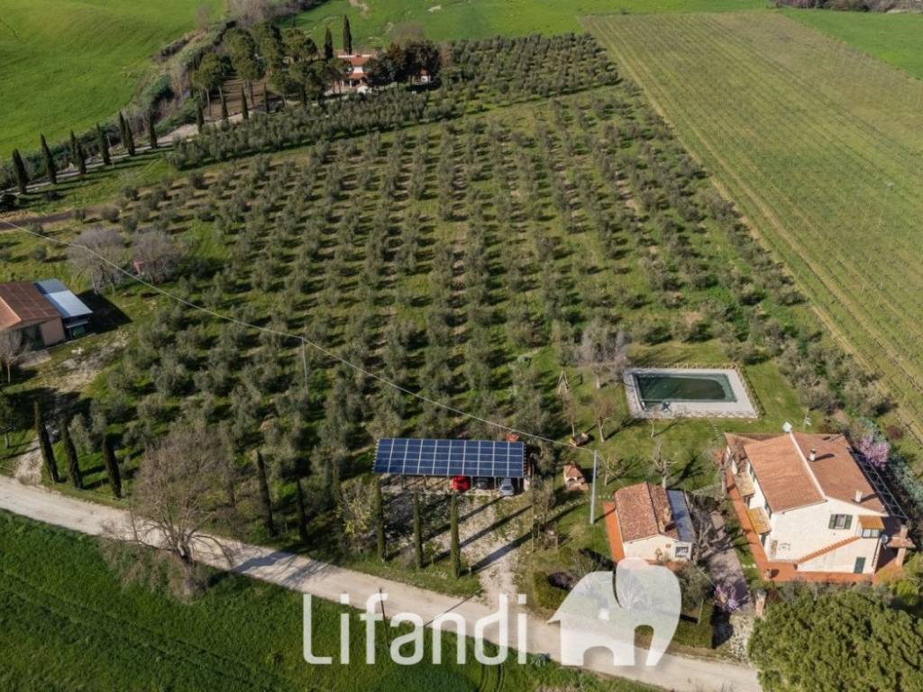 agriturismo scansano toscana 141 1440x885