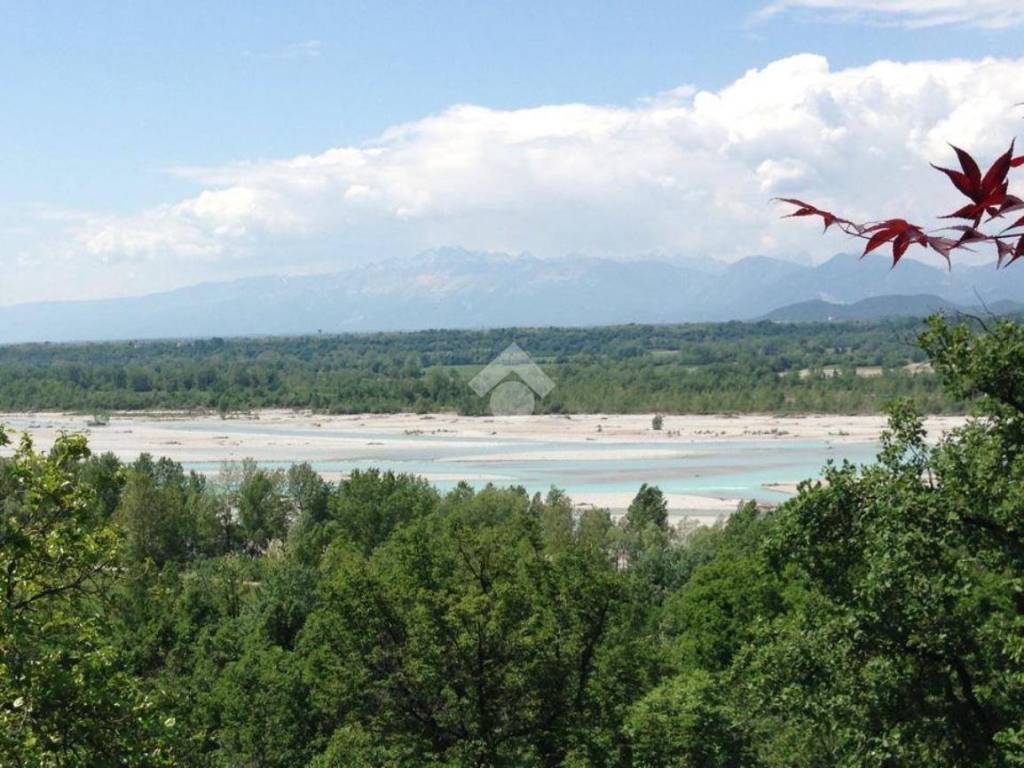 vista fiume Tagliamento