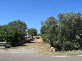 Viale di ingresso