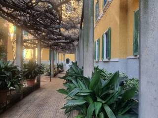 cortile