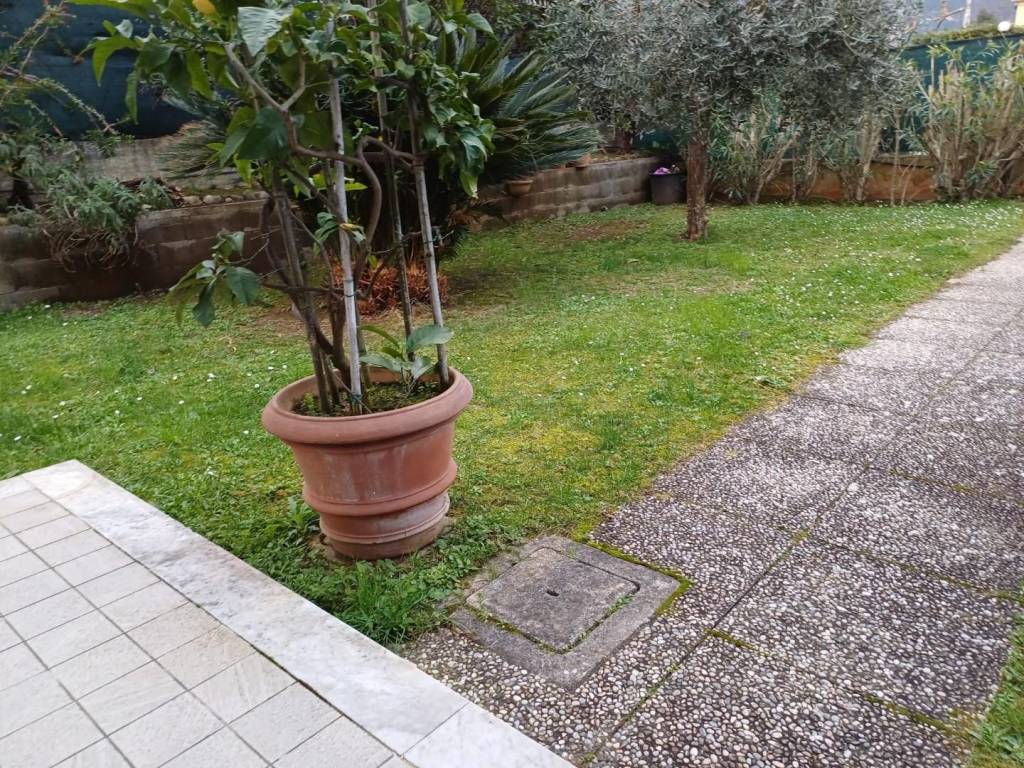 giardino