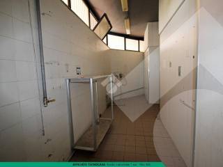 Interno Negozio Pregnana