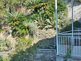 terrazza giardino