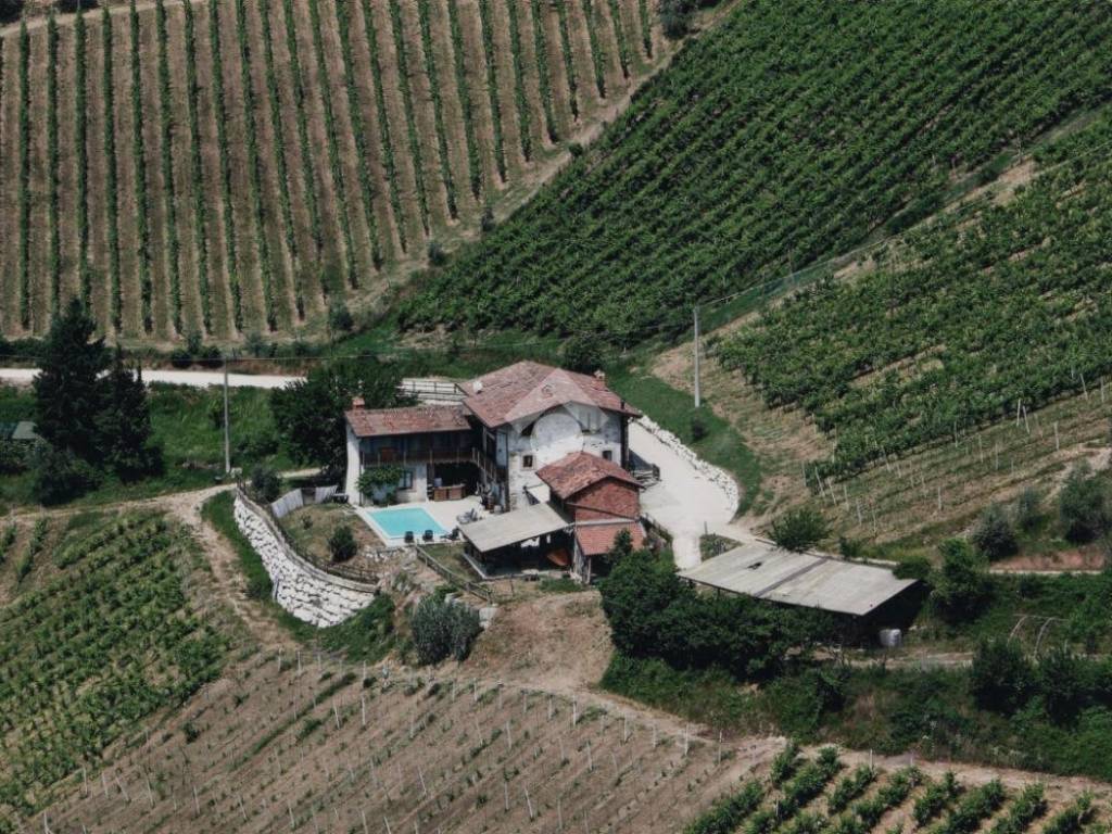 azienda agricola