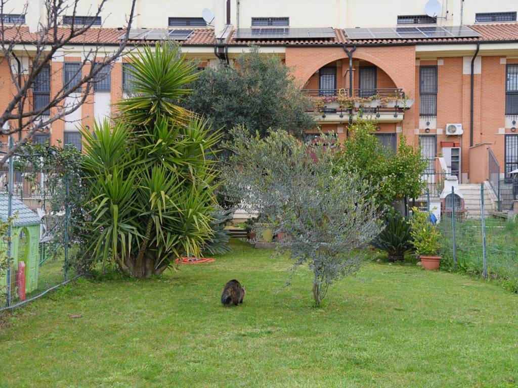 GIARDINO