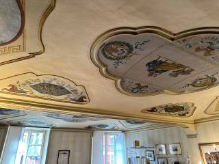 particolari soffitto