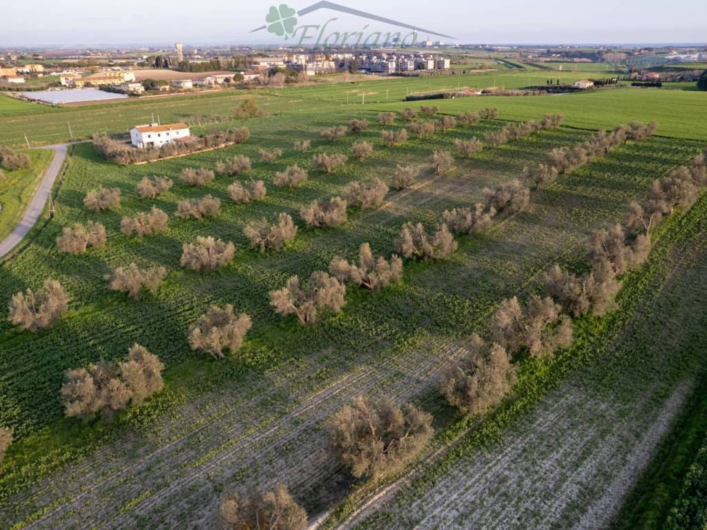 Terreno agricolo località la moletta, montalto di castro