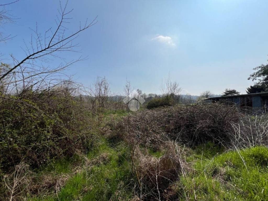 Terreno agricolo strada provinciale, roppolo