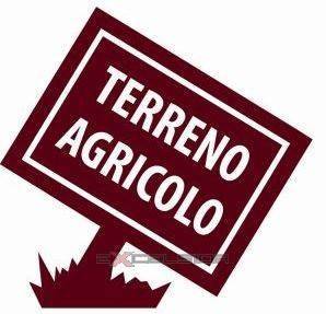 Terreno agricolo via amo, san benedetto, forlì