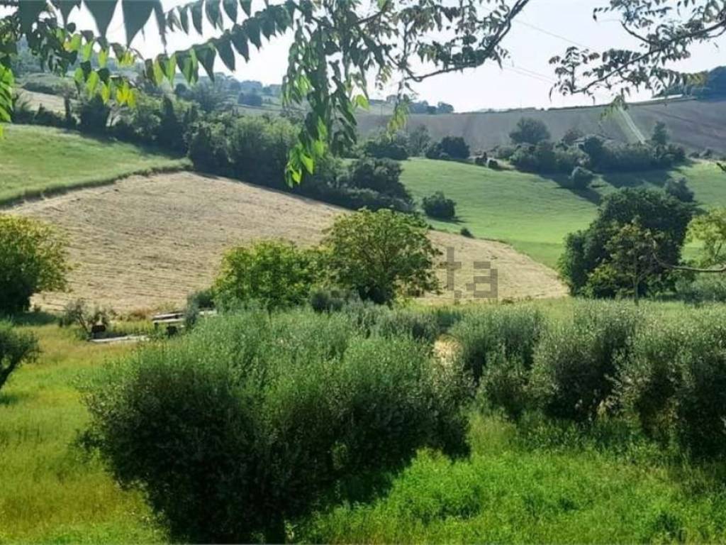 Terreno agricolo, san biagio, osimo