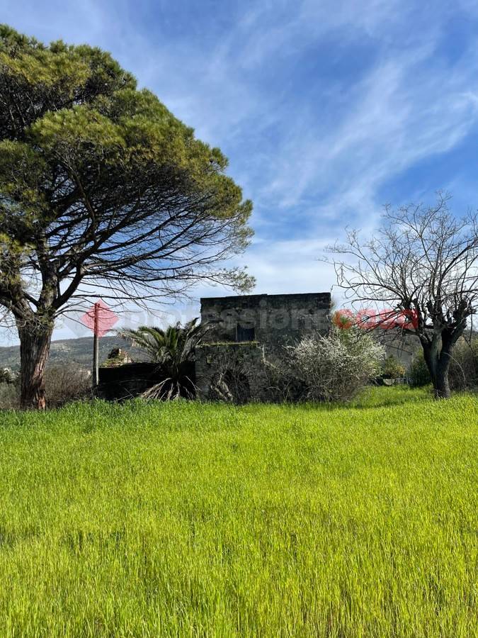 Rustico - Casale in vendita a Santi Cosma e Damiano