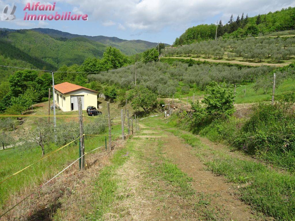 Terreno agricolo, pratovecchio e stia