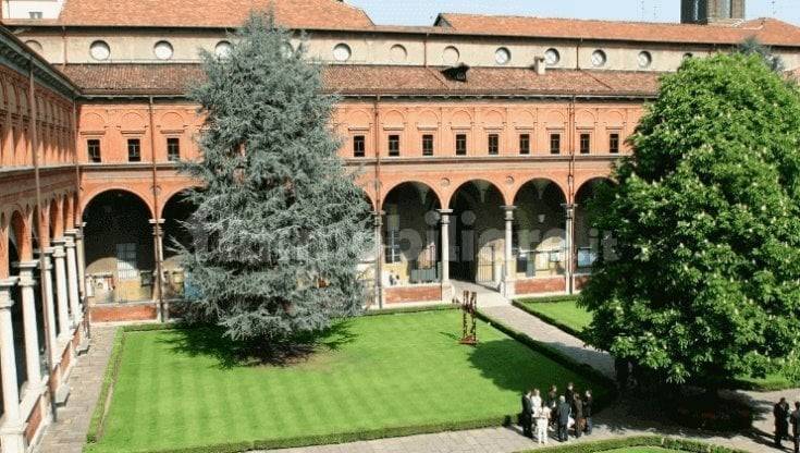 Università Cattolica