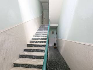 scale palazzoq