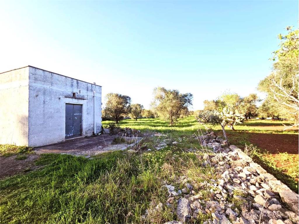 Terreno edificabile, carovigno