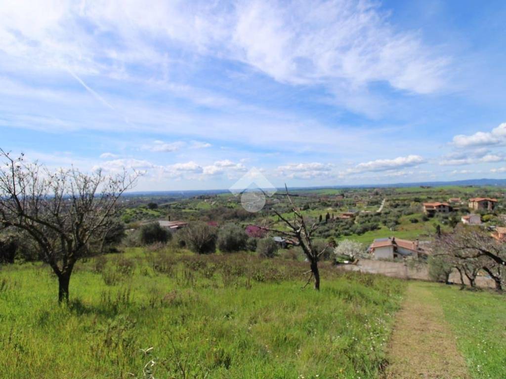 Terreno grande Baccani