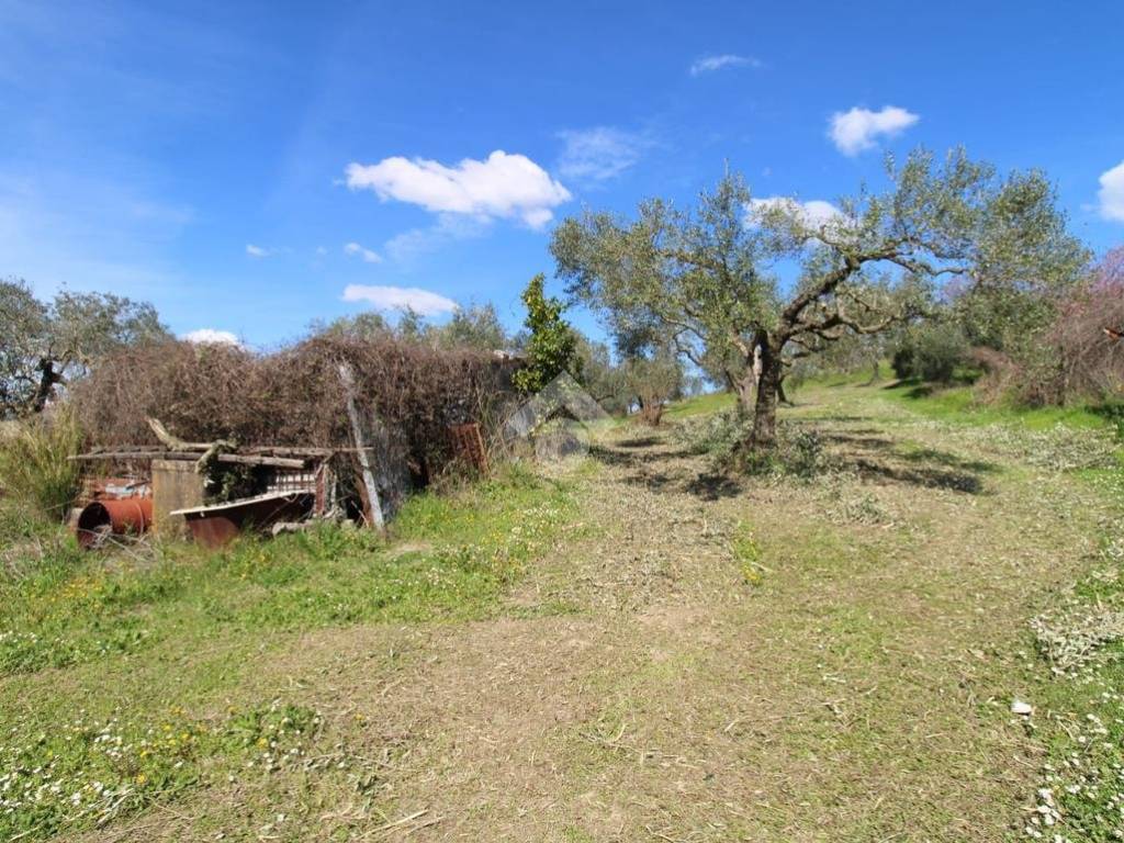 Terreno grande Baccani