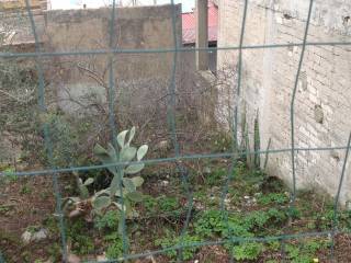 IMG_4055.JPG