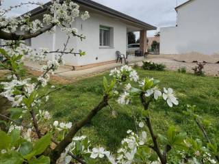 Foto - Vendita villa con giardino, Jolanda di Savoia, Lidi Ferraresi