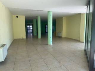 Zona