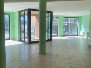 Zona