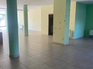 Zona