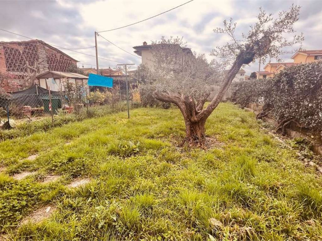 Giardino / orto staccato 