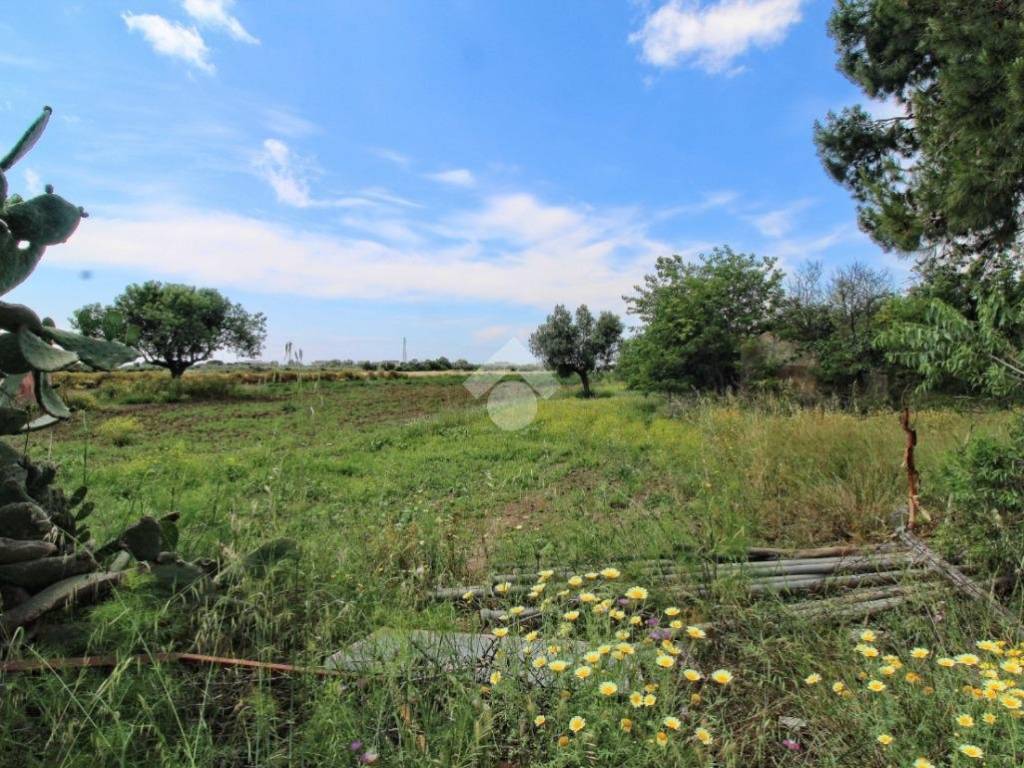 Terreno agricolo località santa domenica, isola di capo rizzuto