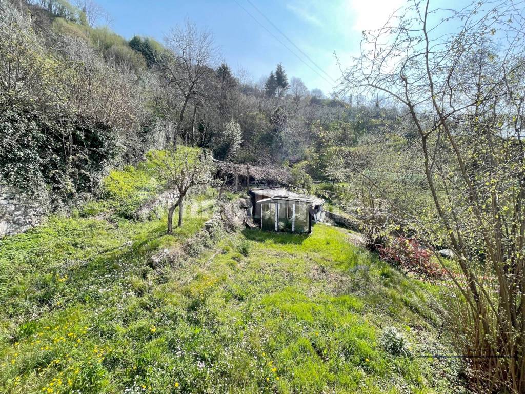 Vista giardino da balcone