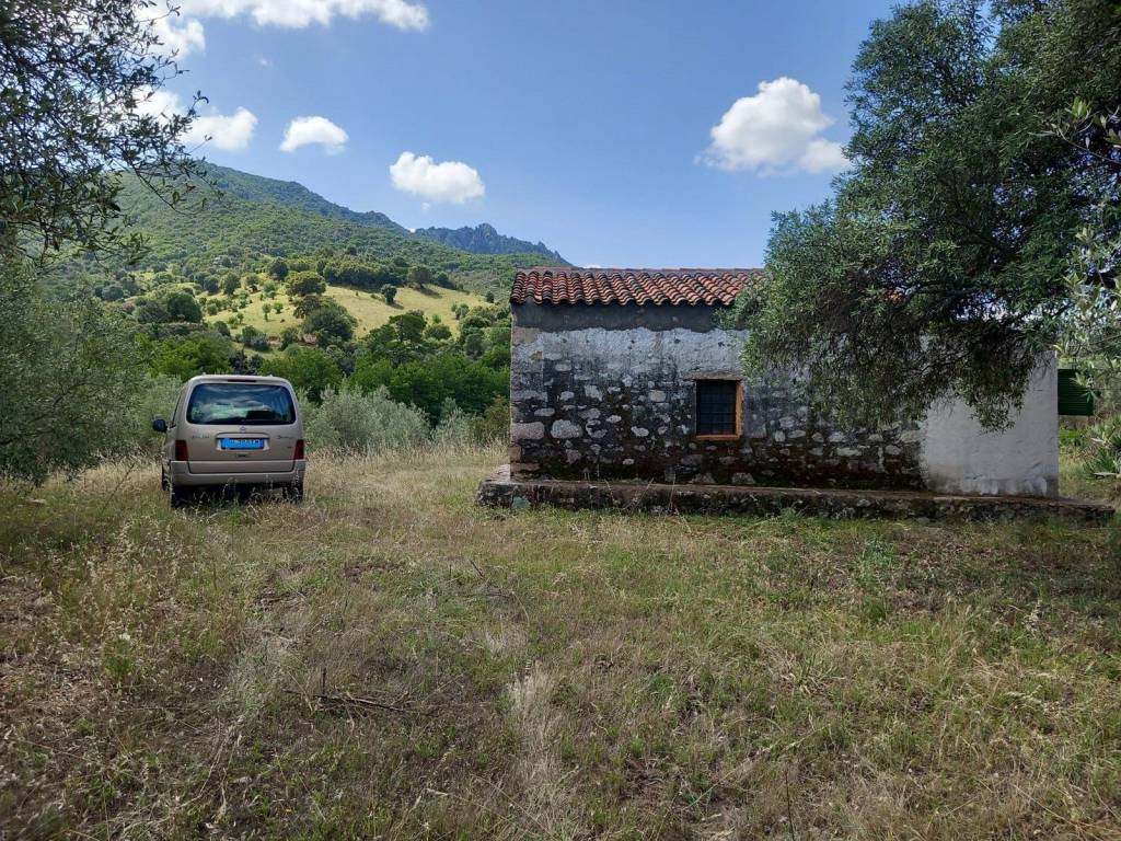 Terreno edificabile località casteddu, padru