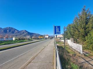 Zona