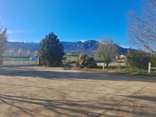Zona
