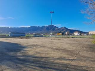 Zona