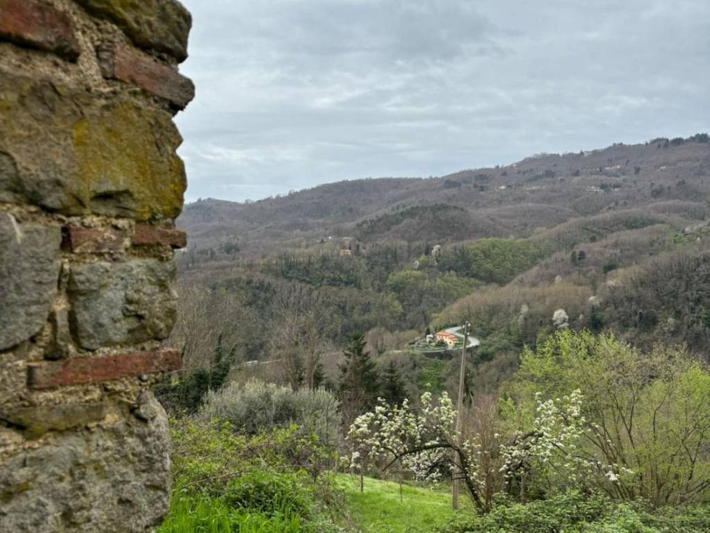 vista esterna