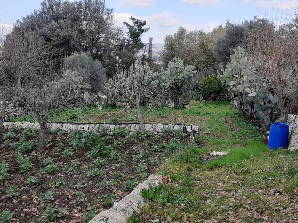 immagini del giardino