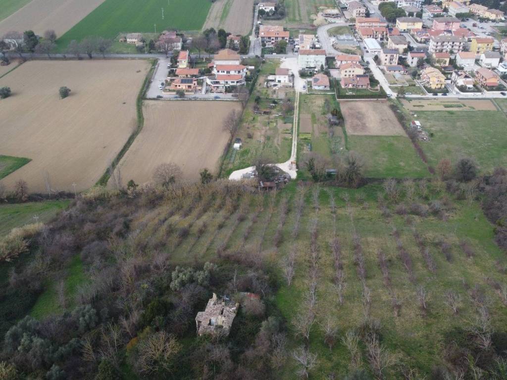 Vista