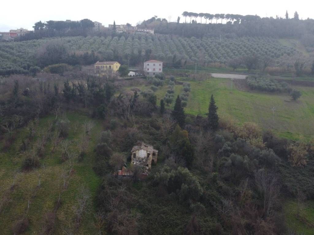 Vista