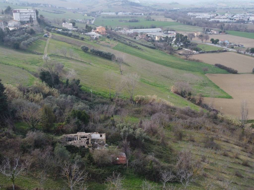 Vista