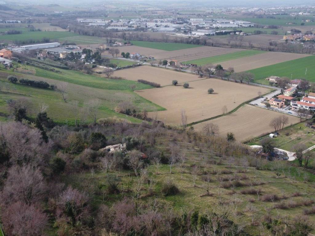 Vista