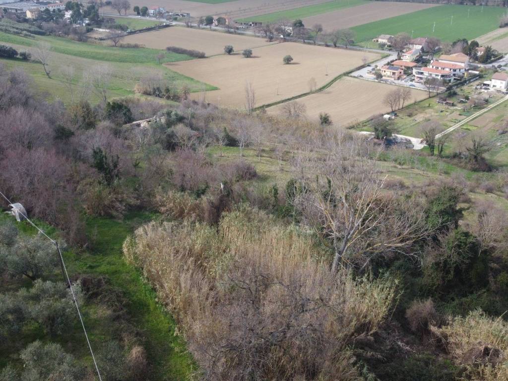 Vista