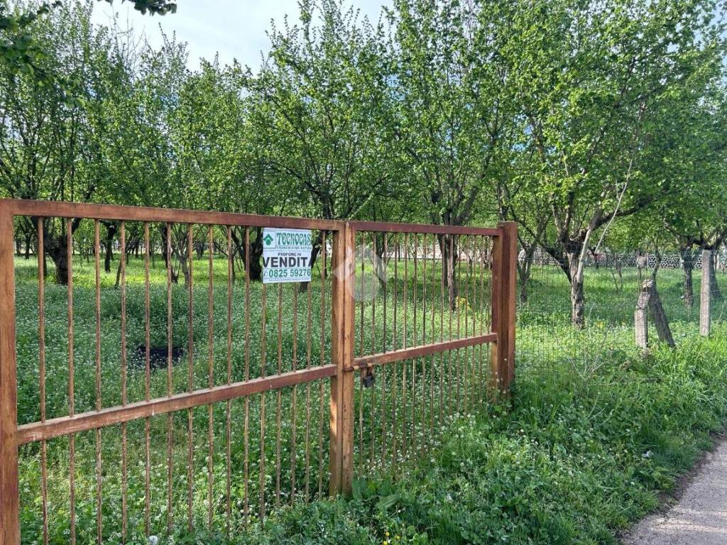 Terreno agricolo via capolungo, santo stefano del sole